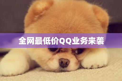 全网最低价QQ业务来袭-第1张图片-ZBLOG