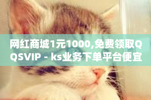 网红商城1元1000,免费领取QQSVIP - ks业务下单平台便宜 - qq怎么加陌生人为好友-第1张图片-ZBLOG