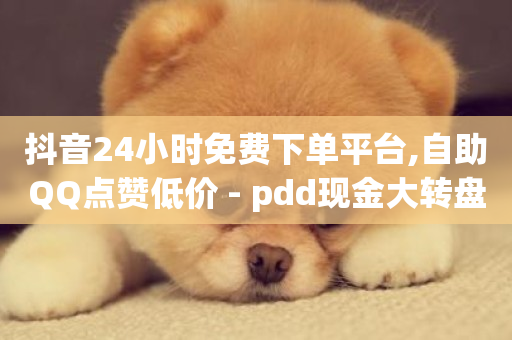 抖音24小时免费下单平台,自助QQ点赞低价 - pdd现金大转盘助力网站 - 抖音自定义真人评论-第1张图片-ZBLOG