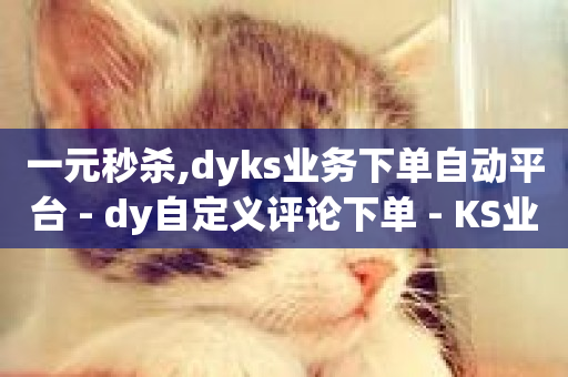 一元秒杀,dyks业务下单自动平台 - dy自定义评论下单 - KS业务平台秒到-第1张图片-ZBLOG