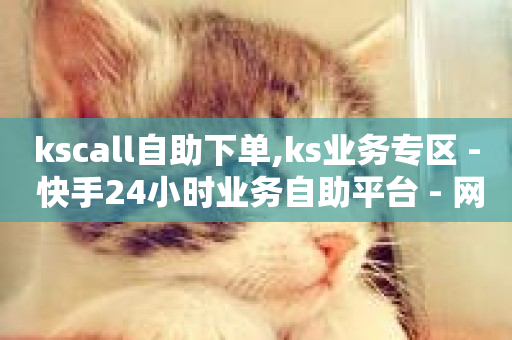 kscall自助下单,ks业务专区 - 快手24小时业务自助平台 - 网红助手24小时下单平台-第1张图片-ZBLOG