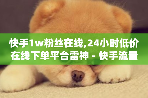 快手1w粉丝在线,24小时低价在线下单平台雷神 - 快手流量推广网站24小时热线 - Dy免费业务平台-第1张图片-ZBLOG