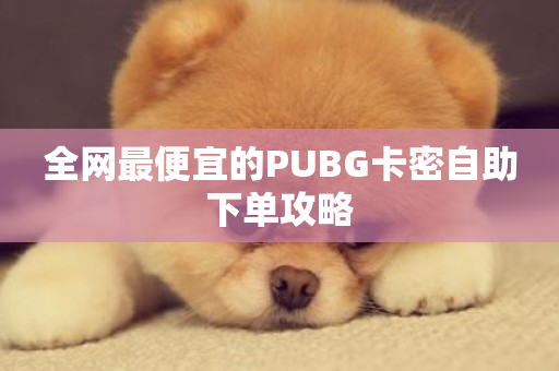 全网最便宜的PUBG卡密自助下单攻略