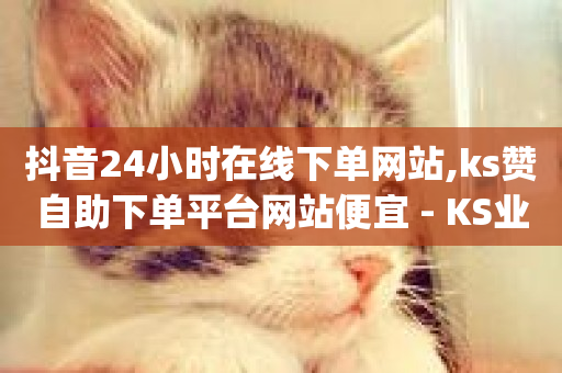 抖音24小时在线下单网站,ks赞自助下单平台网站便宜 - KS业务平台秒到 - 超低价qq业务商城-第1张图片-ZBLOG