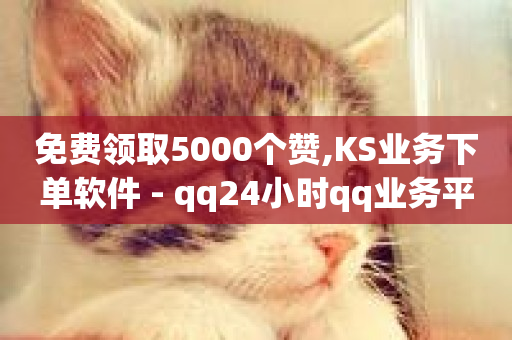 免费领取5000个赞,KS业务下单软件 - qq24小时qq业务平台便宜 - kg24小时自助下单全网最低价