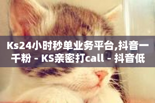 Ks24小时秒单业务平台,抖音一千粉 - KS亲密打call - 抖音低价二十四小时下单平台