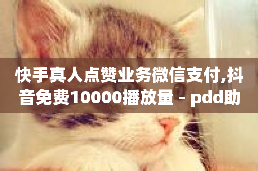 快手真人点赞业务微信支付,抖音免费10000播放量 - pdd助力网站免费 - 抖音粉丝业务套餐