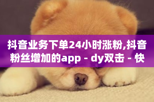 抖音业务下单24小时涨粉,抖音粉丝增加的app - dy双击 - 快手业务在线下单平台全网最低