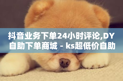 抖音业务下单24小时评论,DY自助下单商城 - ks超低价自助下单软件 - ks24小时免费下单平台