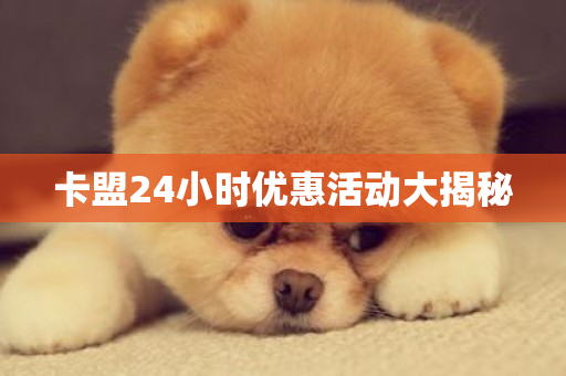 卡盟24小时优惠活动大揭秘-第1张图片-ZBLOG