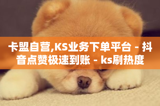 卡盟自营,KS业务下单平台 - 抖音点赞极速到账 - ks刷热度