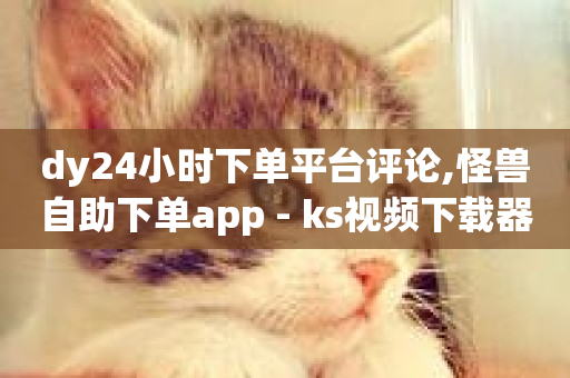 dy24小时下单平台评论,怪兽自助下单app - ks视频下载器 - 球球商城24小时自助下单网站