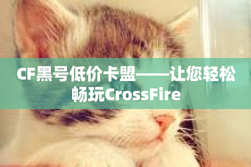 CF黑号低价卡盟——让您轻松畅玩CrossFire-第1张图片-ZBLOG