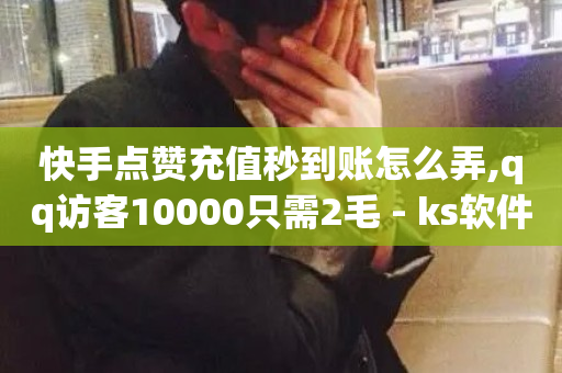 快手点赞充值秒到账怎么弄,qq访客10000只需2毛 - ks软件 - 抖音二十四小时点赞自助平台-第1张图片-ZBLOG