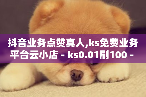 抖音业务点赞真人,ks免费业务平台云小店 - ks0.01刷100 - 游戏货源站全网最低价-第1张图片-ZBLOG