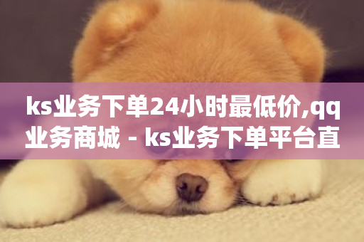 ks业务下单24小时最低价,qq业务商城 - ks业务下单平台直接进入 - 快手自动下单助手官网