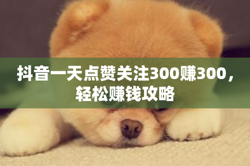 抖音一天点赞关注300赚300，轻松赚钱攻略-第1张图片-ZBLOG