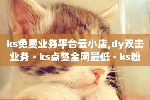 ks免费业务平台云小店,dy双击业务 - ks点赞全网最低 - ks粉丝-第1张图片-ZBLOG