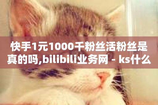 快手1元1000千粉丝活粉丝是真的吗,bilibili业务网 - ks什么买赞 - 抖音粉丝增加