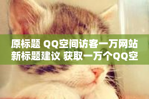 原标题 QQ空间访客一万网站新标题建议 获取一万个QQ空间访客的方法-第1张图片-ZBLOG