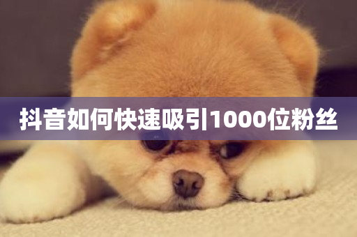 抖音如何快速吸引1000位粉丝