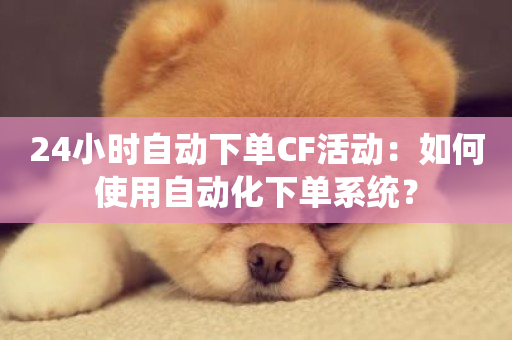 24小时自动下单CF活动：如何使用自动化下单系统？-第1张图片-ZBLOG