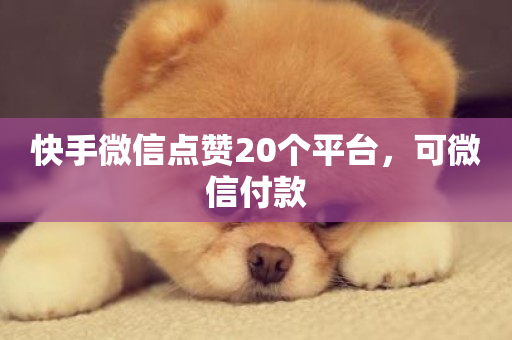 快手微信点赞20个平台，可微信付款-第1张图片-ZBLOG