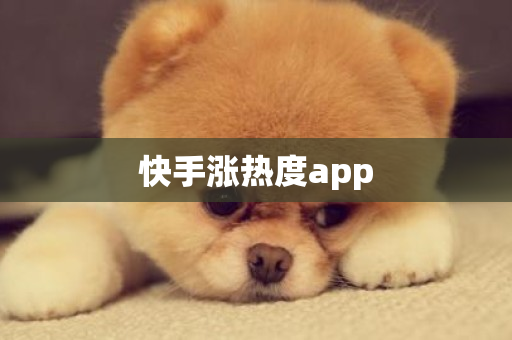 快手涨热度app-第1张图片-ZBLOG