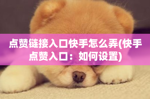 点赞链接入口快手怎么弄(快手点赞入口：如何设置)-第1张图片-ZBLOG