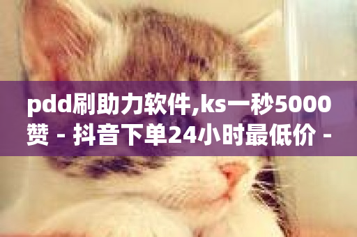 pdd刷助力软件,ks一秒5000赞 - 抖音下单24小时最低价 - 全民k歌最便宜刷收听量网址-第1张图片-ZBLOG