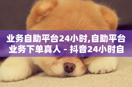 业务自助平台24小时,自助平台业务下单真人 - 抖音24小时自助服务平台免费 - 快手卖赞软件-第1张图片-ZBLOG