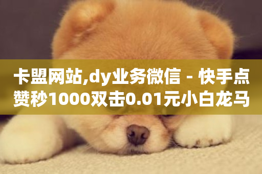 卡盟网站,dy业务微信 - 快手点赞秒1000双击0.01元小白龙马山肥大地房产装修 - dy自助平台业务下单真人