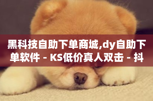 黑科技自助下单商城,dy自助下单软件 - KS低价真人双击 - 抖音快手点赞粉丝的网站