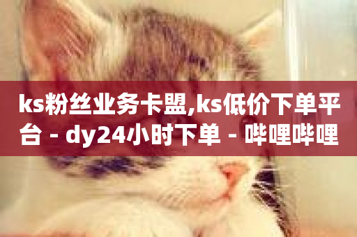 ks粉丝业务卡盟,ks低价下单平台 - dy24小时下单 - 哔哩哔哩业务自助平台-第1张图片-ZBLOG