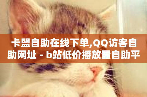 卡盟自助在线下单,QQ访客自助网址 - b站低价播放量自助平台 - 抖音全网最低价业务-第1张图片-ZBLOG