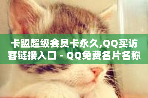 卡盟超级会员卡永久,QQ买访客链接入口 - QQ免费名片名称 - 抖音业务下单免费-第1张图片-ZBLOG