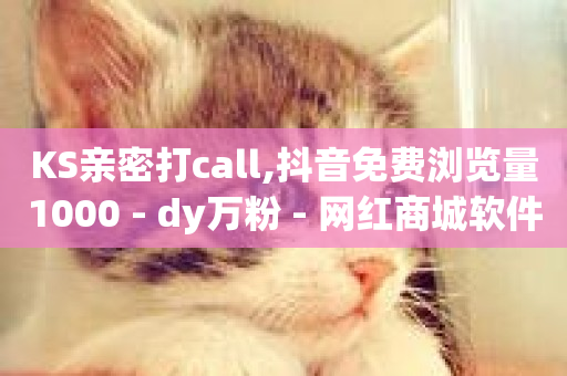 KS亲密打call,抖音免费浏览量1000 - dy万粉 - 网红商城软件