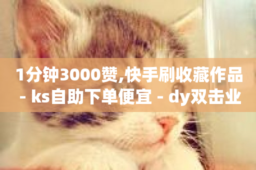 1分钟3000赞,快手刷收藏作品 - ks自助下单便宜 - dy双击业务