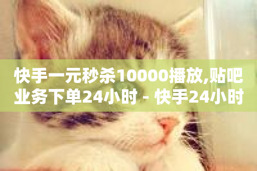 快手一元秒杀10000播放,贴吧业务下单24小时 - 快手24小时双击免费 - 快手双击24小时在线-第1张图片-ZBLOG