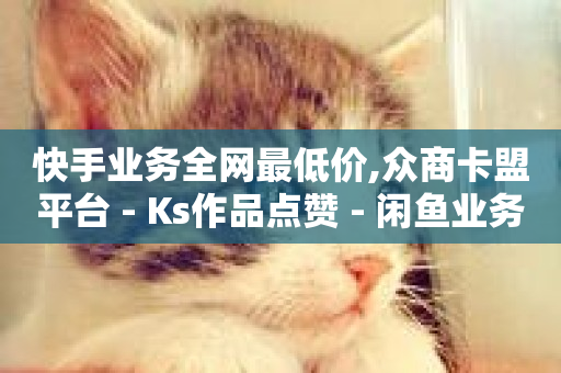 快手业务全网最低价,众商卡盟平台 - Ks作品点赞 - 闲鱼业务自助下单低价-第1张图片-ZBLOG