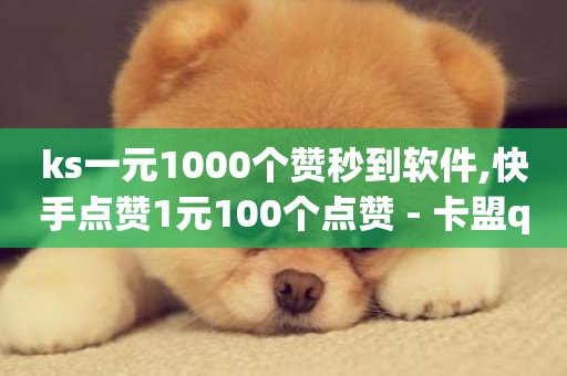 ks一元1000个赞秒到软件,快手点赞1元100个点赞 - 卡盟qq业务 - 抖音快手低价业务网