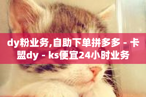 dy粉业务,自助下单拼多多 - 卡盟dy - ks便宜24小时业务-第1张图片-ZBLOG