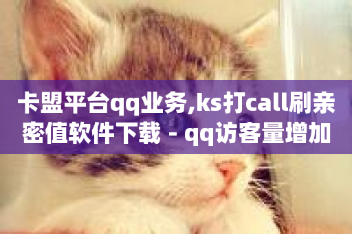 卡盟平台qq业务,ks打call刷亲密值软件下载 - qq访客量增加网站 - kscall自助下单