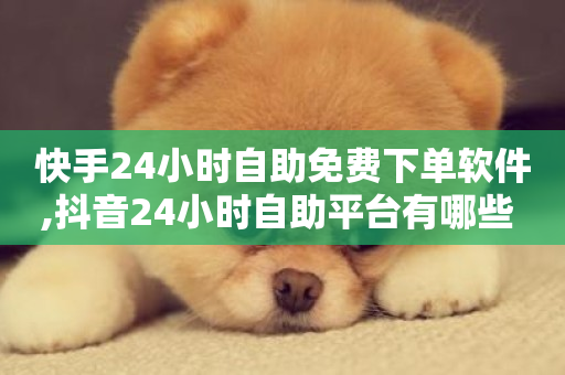 快手24小时自助免费下单软件,抖音24小时自助平台有哪些 - 抖音1毛1000个赞 - 抖音粉丝一千