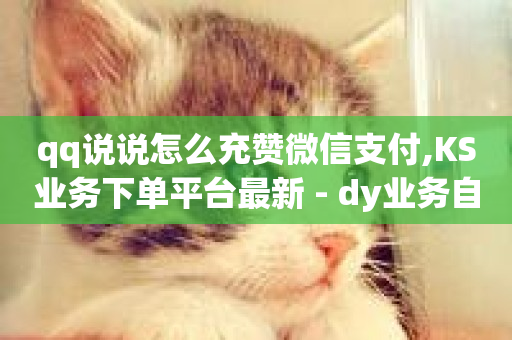 qq说说怎么充赞微信支付,KS业务下单平台最新 - dy业务自助下单软件下载安装 - QQ自助业务网