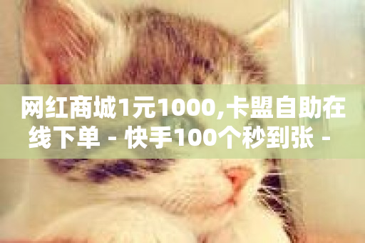 网红商城1元1000,卡盟自助在线下单 - 快手100个秒到张 - ks0.01刷100-第1张图片-ZBLOG