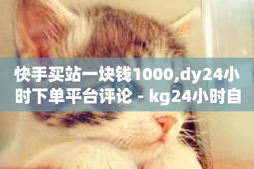 快手买站一块钱1000,dy24小时下单平台评论 - kg24小时自助下单全网最低价 - 抖音双击24h下单网站-第1张图片-ZBLOG