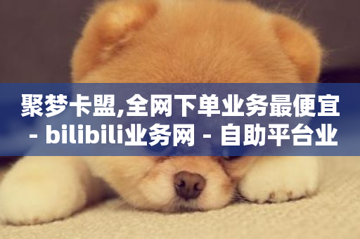 聚梦卡盟,全网下单业务最便宜 - bilibili业务网 - 自助平台业务下单真人