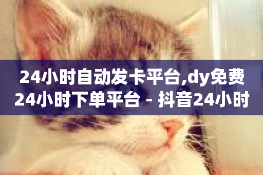 24小时自动发卡平台,dy免费24小时下单平台 - 抖音24小时在线下单平台免费 - 低价刷一万qq资料卡-第1张图片-ZBLOG