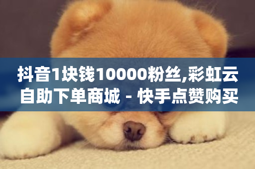 抖音1块钱10000粉丝,彩虹云自助下单商城 - 快手点赞购买网站平台 - q钻卡盟